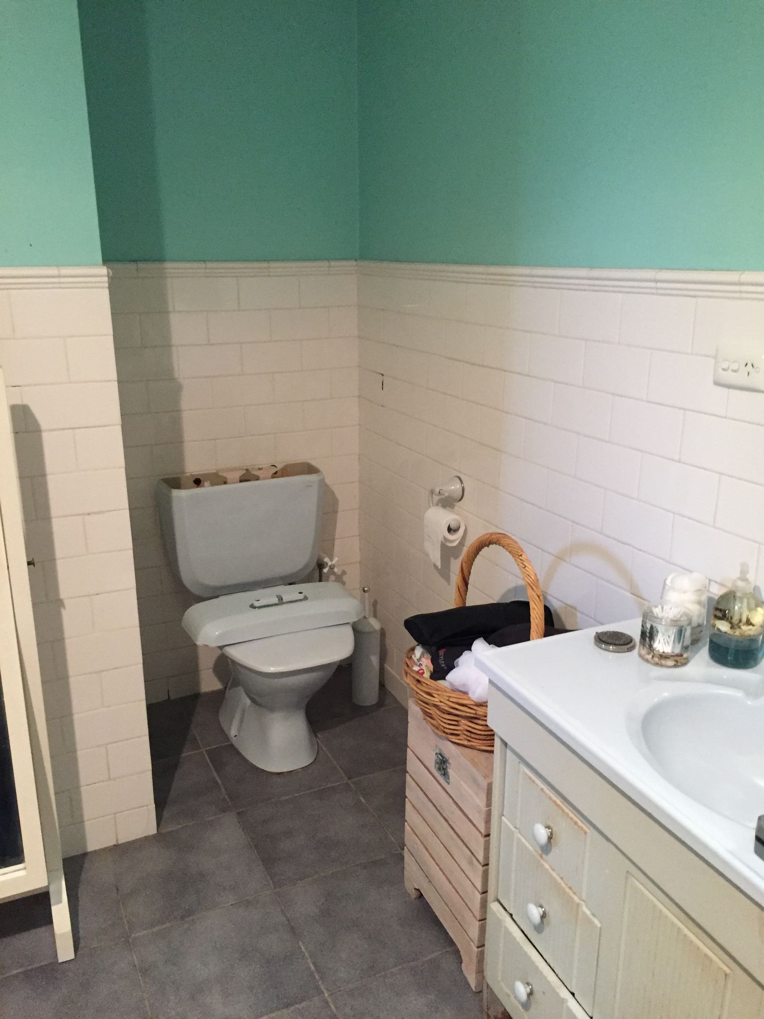 toilet-renovation-wundowie-before